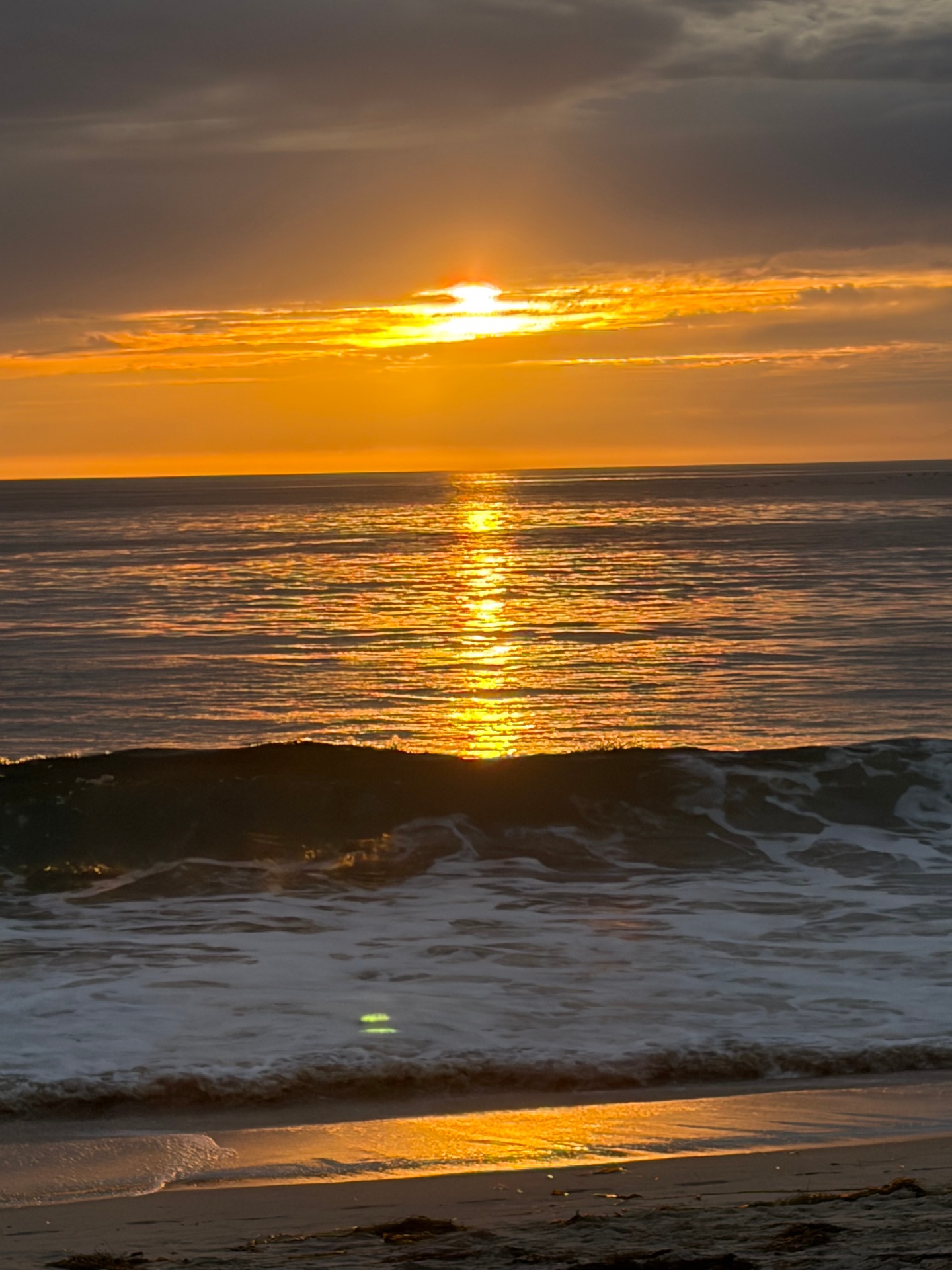 Gilded Horizon
